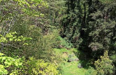 Il Bosco di Campo Marzano green & sky - Foto 40