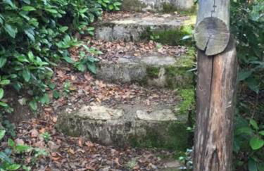 luxury villa in centre of tuscany - Foto 10