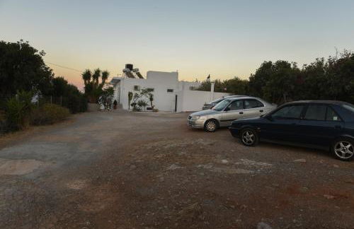 Splendide Apartments - Foto 8