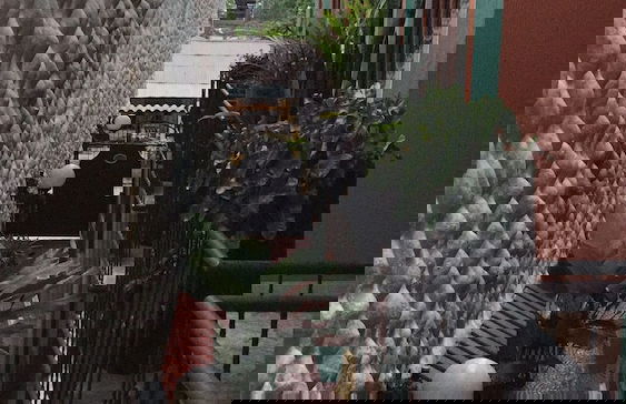 Apartahotel Tierras Amazonicas - Photo 9