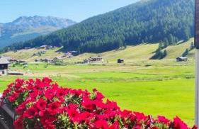 Chalet Da Florin - Foto 25