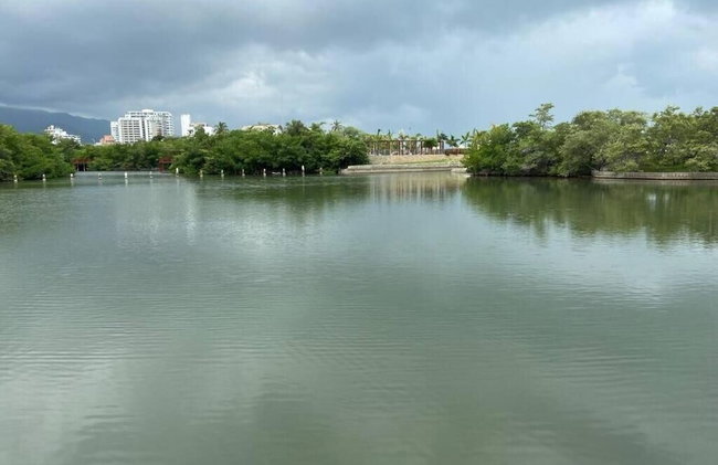 Areia Beach - Pozos Colorados - Santa Marta - Colombia - Foto 49