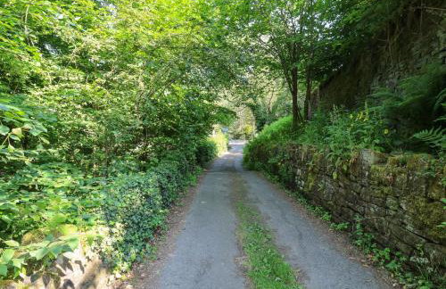 Ludd Brook Cottage - Foto 29