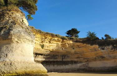 Jolie maison en bois à 600m de la plage des Vergnes - Foto 22