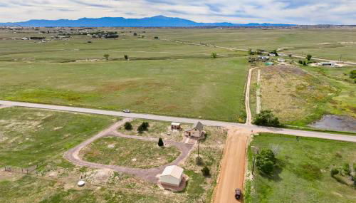 Home on the Plains - Free Range Cattle - Foto 2