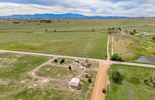 Home on the Plains - Free Range Cattle - Foto 2