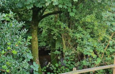 Glamping Hut - Sleeps 2 hot tub & parking - Foto 17