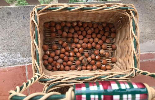 Casale in collina vista Assisi,Brufa di Torgiano - Foto 41