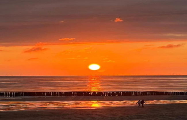 Luxurious, Stately Villa With Washing Machine, on a Holiday Park, Beach at 1 km - Photo 22