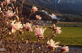 Residence Sonnberg - Foto 30