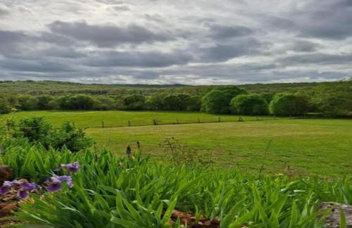 Nature Escape in Loubressac with Pool - Photo 38