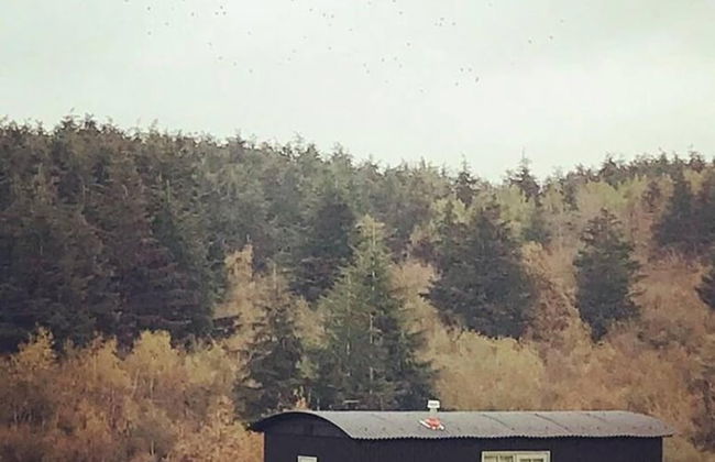 Dog Friendly Shepherd's Hut, Perfect for Couples - Photo 48