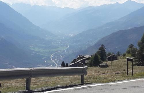 The Green Owl - Foto 48