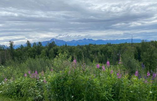 Fireweed Cottage - Alaska at your doorstep! - Foto 46