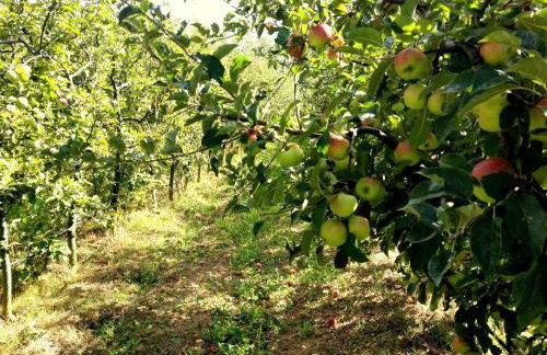 Agriturismo Le Cerinaie - Foto 74