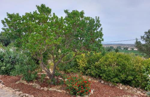 Monte Machial - Foto 31