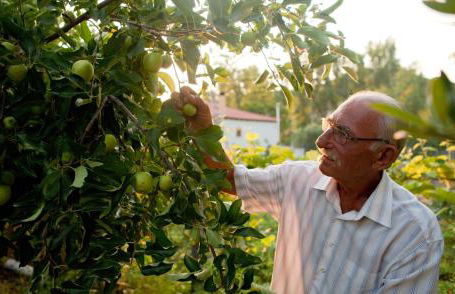 Haus Risos Next Generation - Foto 13