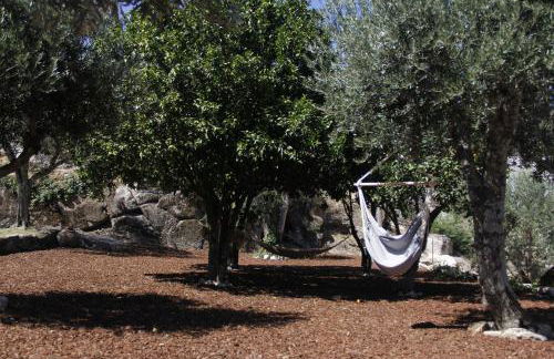 Pedra Nova - Turismo d'aldeia - Foto 109