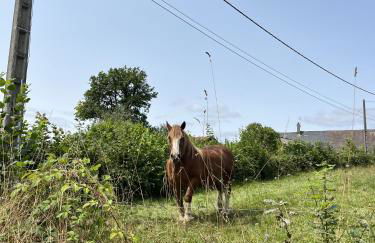 Nuit insolite dans un dôme - Foto 19