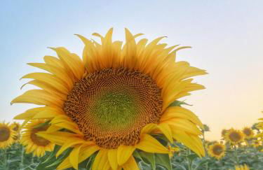 Emozione Marina - appartamento fronte mare - Foto 7