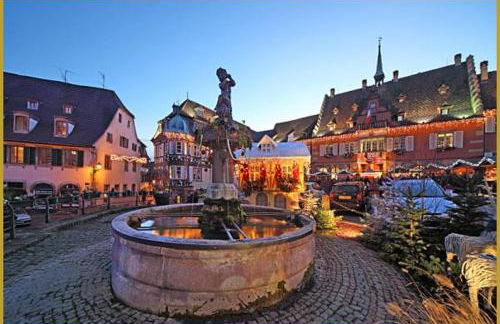 Terrasses du Zimmerberg - Photo 20