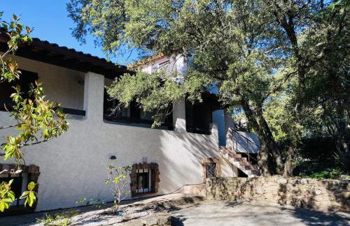 Le Patio Bleu - Foto 12