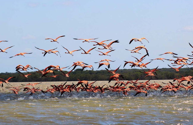 Tour de 2 días por Manaure y el Santuario Los Flamencos - Foto 9