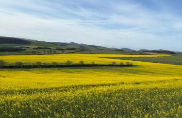 Stewards Cottage - Foto 45