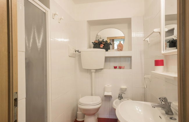 La Salamandra - Foto 12