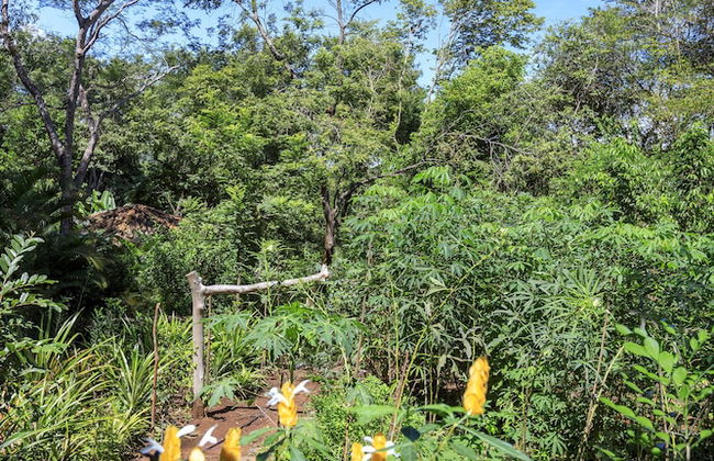 Pousada Canto no Bosque - Foto 21