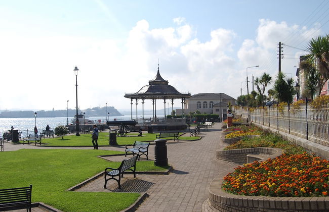 Castlemartyr Mews - Photo 39