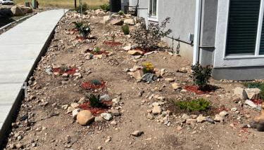 Perfect Little Place - Foto 5, Garden