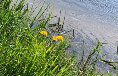 Chatka Baby Agi - Foto 42