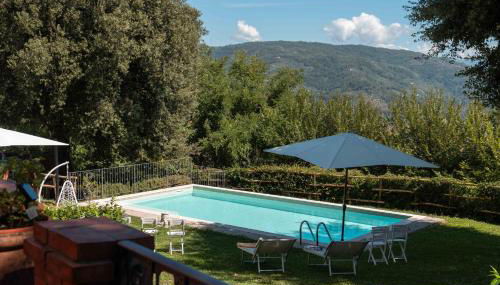 Villa Claudia - Foto 2, Garden, sunbed, Garden view