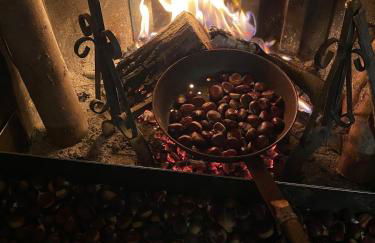 Villetta immersa nel verde - Foto 14