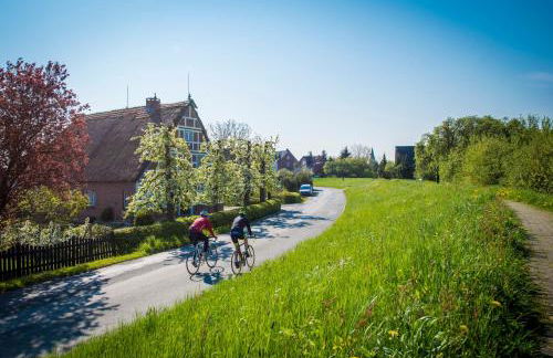 Deichkrönchen Ferienwohnung Altes Land Hamburg - Foto 17