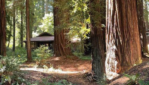 The Groves at Redway Beach - Craftsman - Foto 2