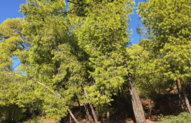 Blue Horizon Apt - Big Terrace Overlooking the Sea - Foto 41