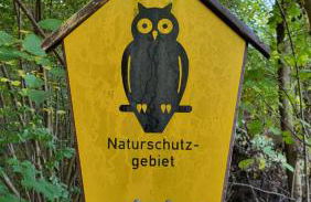 Finnhütte zwischen Wald und See - Foto 23