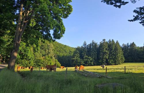 Sowie Pokoje - Foto 20