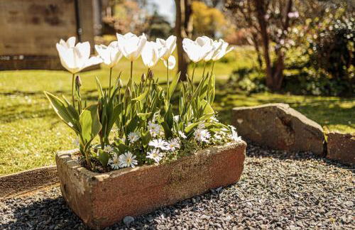 Garden Cottage - Foto 32