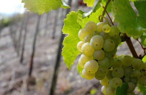 Ferienwohnung Im Bachtal - Foto 61