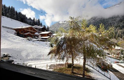 APPARTEMENT 6 COUCHAGES - ST JEAN D'AULPS - PROCHE PIED DES PISTES - PROCHE MORZINE - Cimes 44 - Foto 11