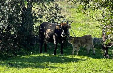 Chalet maisonette dans hameau calme - Foto 20