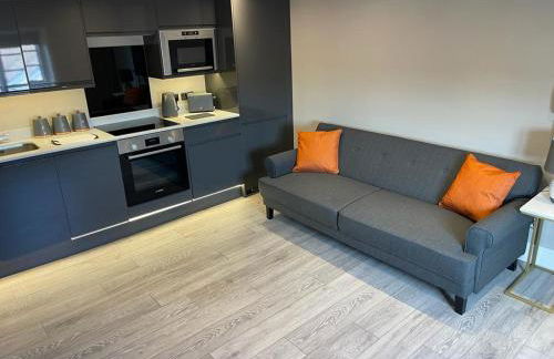 Swan House - 5 x Executive Apartments - Central Bawtry - Foto 5