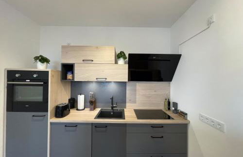 Luxurious and stylish apartment at BER Airport - Foto 18