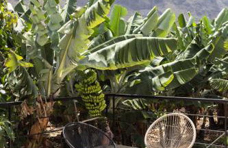 Home2Book Garachico Ocean View & Wifi - Foto 29