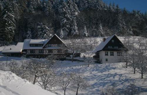 Ferienhof Fischer - Foto 41