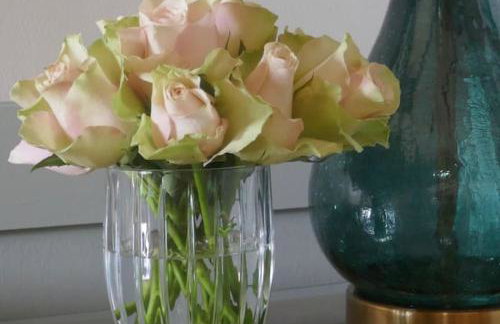 Blacksmith’s Barn - Cosy, Chilled & Dog Friendly. - Foto 18