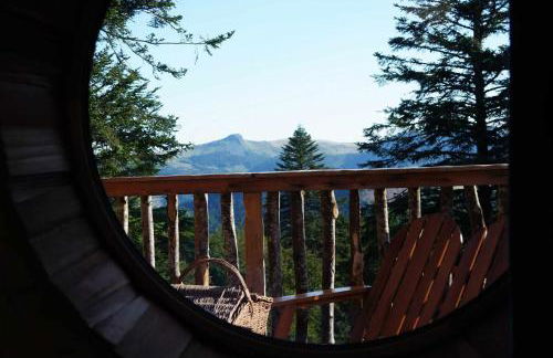 Cabanes des Volcans - Foto 21